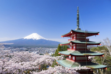 Visit Japan | TPI Global